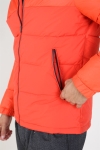 Jack & Jones Oscar Jacke Hood Cherry Tomata