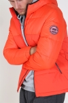 Jack & Jones Oscar Jacke Hood Cherry Tomata