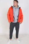 Jack & Jones Oscar Jacke Hood Cherry Tomata